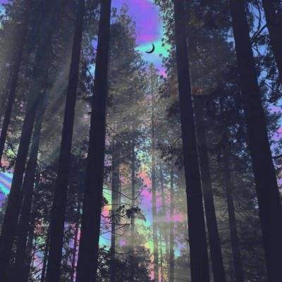 电子娱乐平台游戏大全