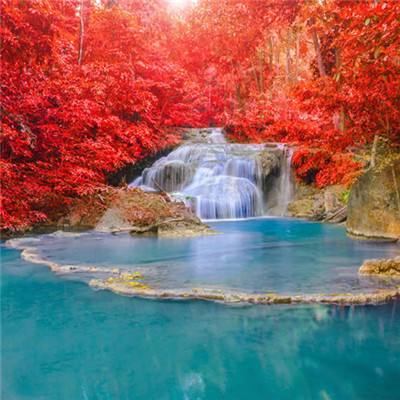 澳门王中王100%的资料app下载