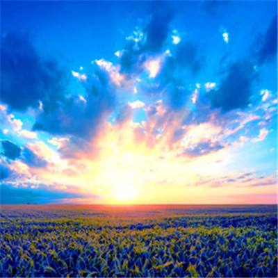 Kaiyun·开云体育手机app下载