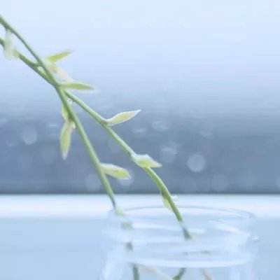 半岛综合app官网版登录